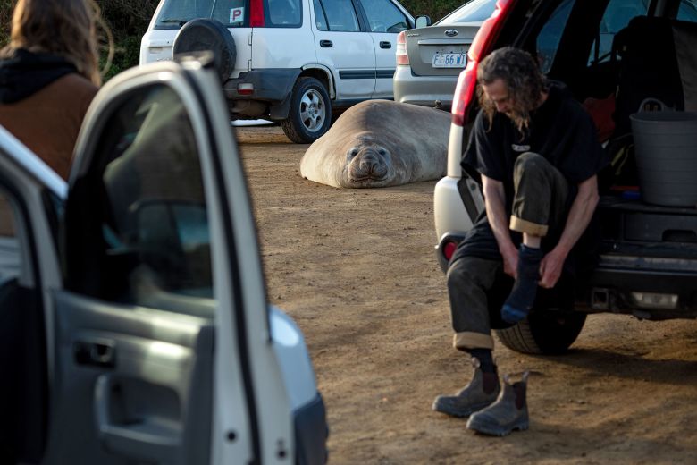 Neil is seen in a parking lot, where he began rocking a van, in June 2026.