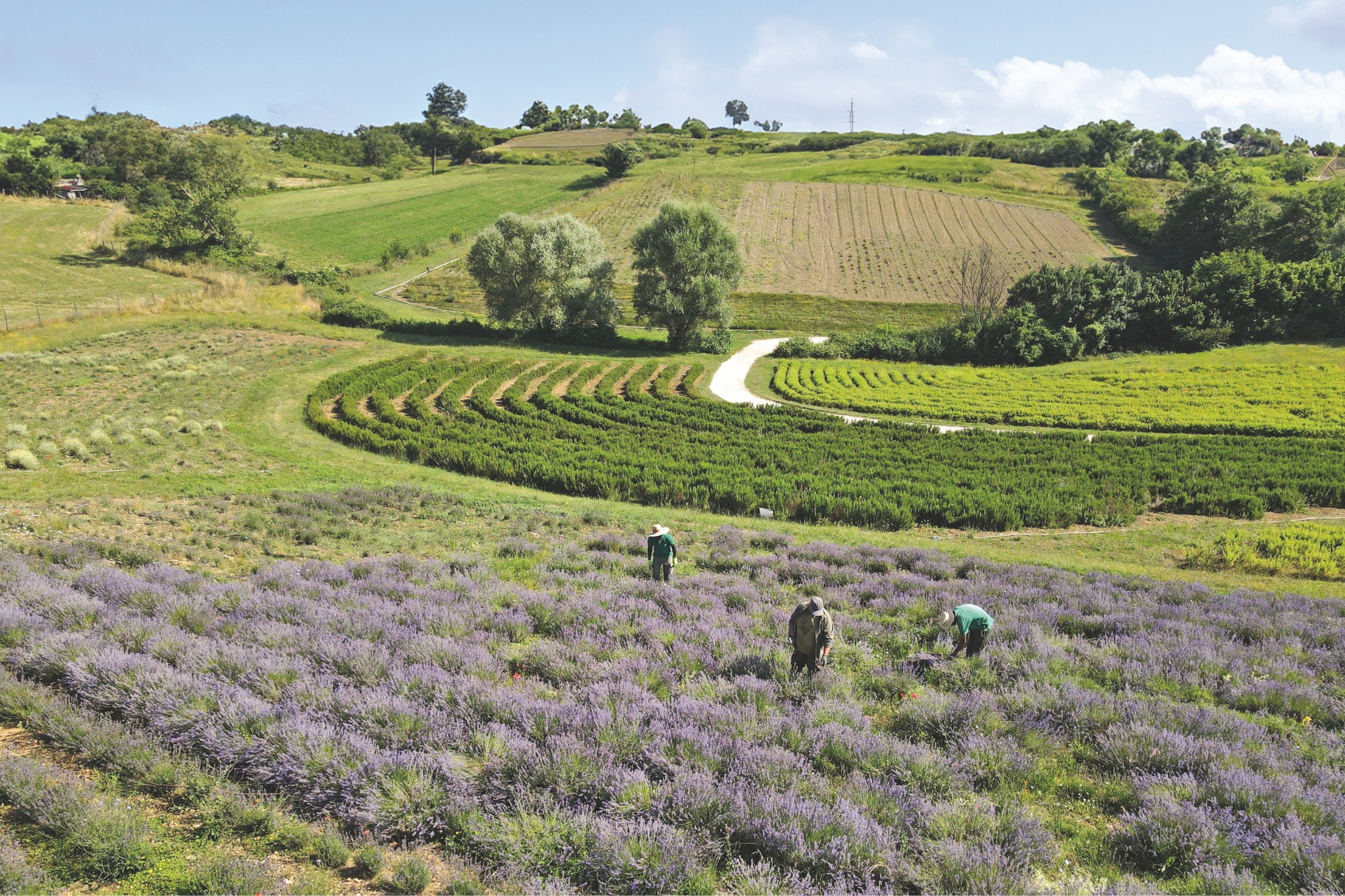 Borgo Santo Pietro in Tuscany