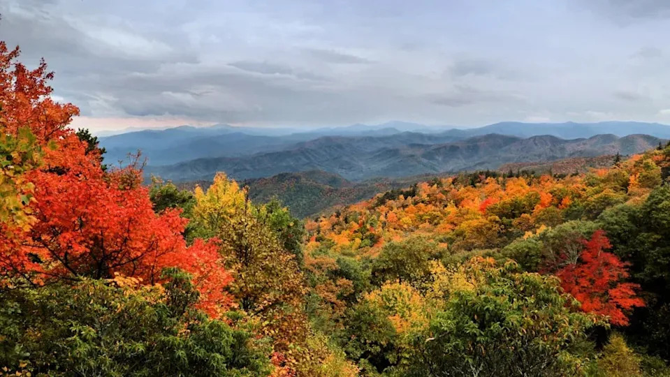 North Carolina: Mountains, Coast, and Something Unexpected (Image Credits: Unsplash)
