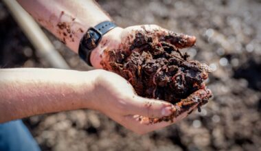 Why worms (and microbes) are catching on as a manure pollution solution