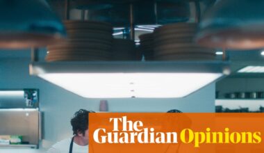 The Pitt is powerful – but it’s the rawness of The Bear that truly portrays hospital work | Seema Jilani