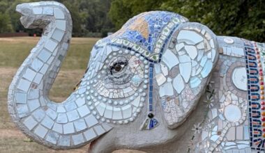 Trunks across the Thames elephant art trail opens in Slough