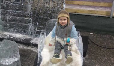 Ice sculpture death verdict: Main sculptor handed suspended prison sentence and fine over fatal Christmas market accident