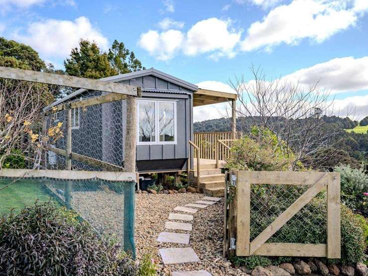 Kiwi brawling in the middle of the day in the garden of Northland homeowner Karin Matthews. Video / Supplied