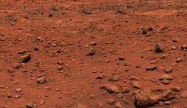 Viking 1 landed on Mars 50 years ago