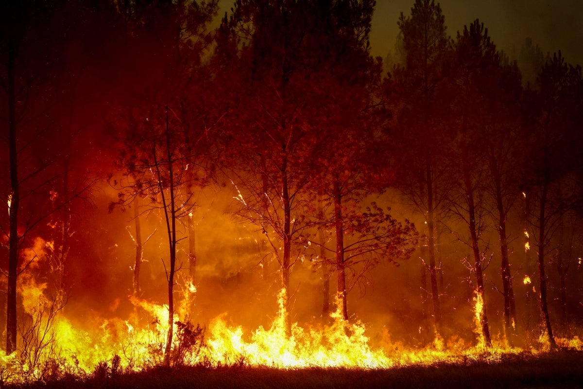 British travellers brave the smoke as French wildfires force 220,000 to evacuate
