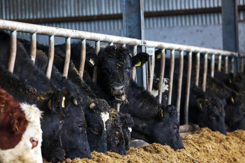 Rise in number of farmers receiving the pension