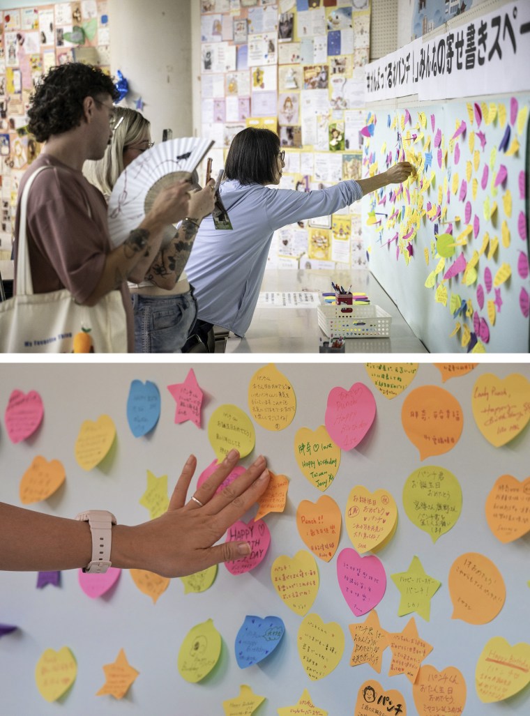 A diptych image of colorful hearts and stars posted on a wall.