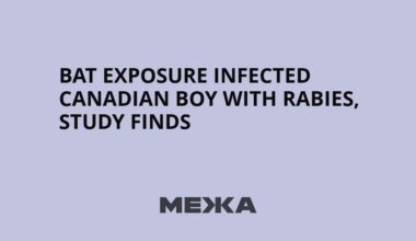 Bat exposure infected Canadian boy with rabies, study finds | Ukraine news
