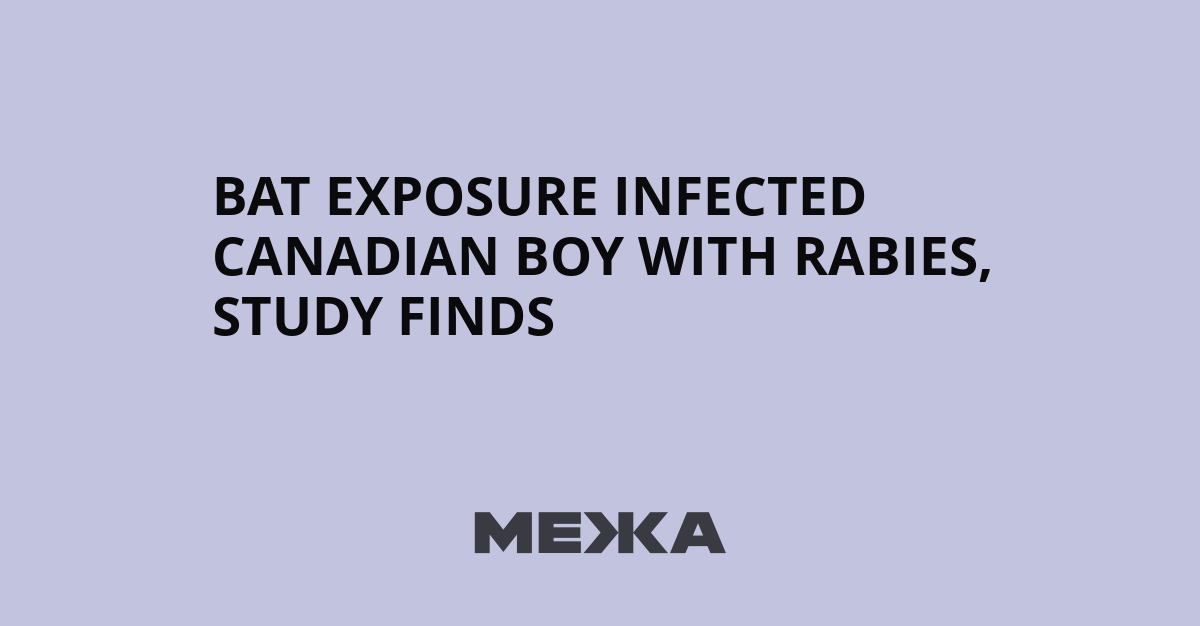 Bat exposure infected Canadian boy with rabies, study finds | Ukraine news