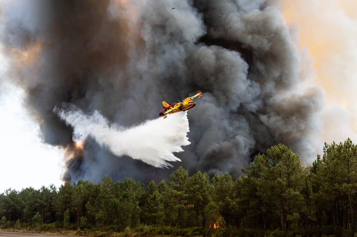 Prince Albert and Princess Charlene joined other European royals in expressing solidarity during the ongoing wildfire emergency.