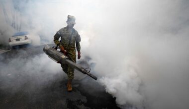 Dengue cases in Malaysia rise nearly 30pc in H1 2026, MoH says outbreak remains under control