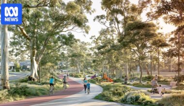 Report says growing Sydney's tree canopy would save $1 billion in health costs