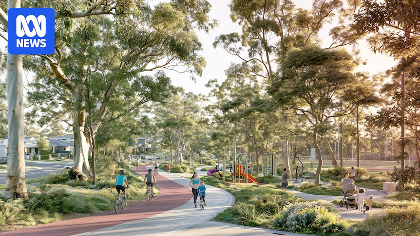 Report says growing Sydney's tree canopy would save $1 billion in health costs