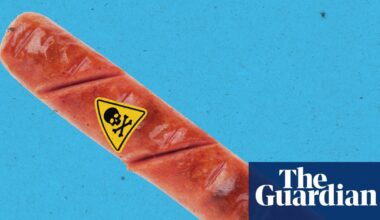 What’s really in a hotdog? Nutrition experts explain | Well actually