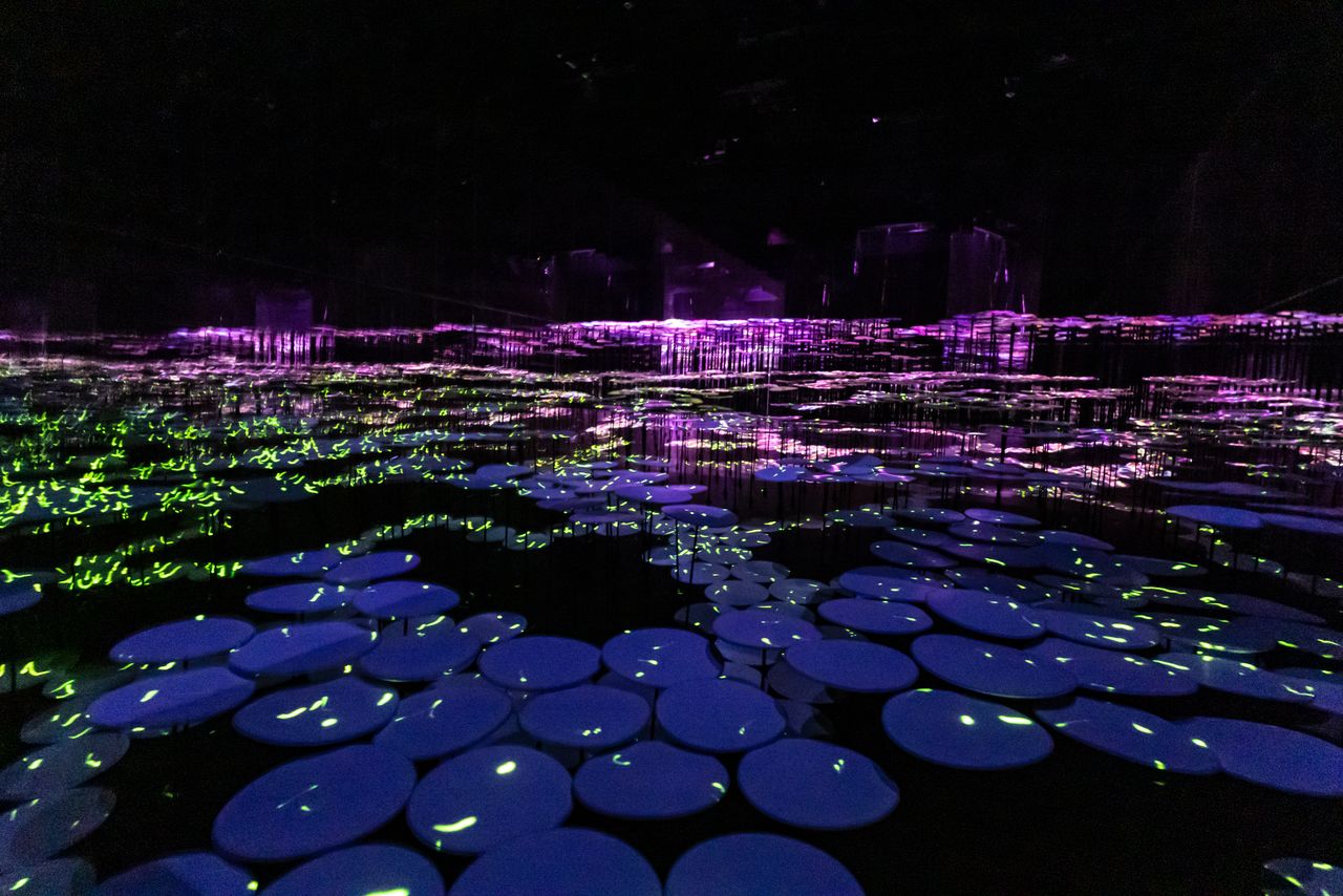 “Memory of Topography,” an immersive journey through the seasonal rhythms—flickering fireflies and swaying rice stalks—of rural landscapes. (© Nippon.com)