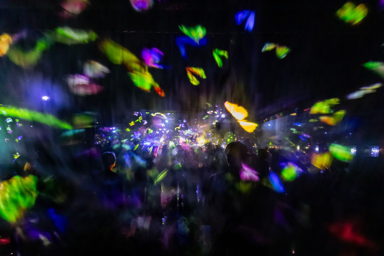 “Dissolving Light,” where butterflies, flames, and other motifs emerge within drifting mist. (© Nippon.com)
