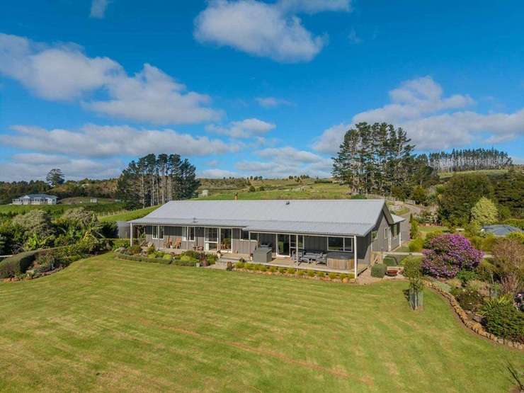 Kiwi brawling in the middle of the day in the garden of Northland homeowner Karin Matthews. Video / Supplied