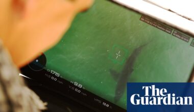 Drones are detecting more sharks at US beaches but do they make public safer? | Sharks