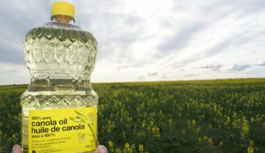 Study says farmers get less of each food dollar even as costs rise
