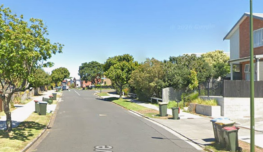 Man arrested in Beachlands after Volkswagen stolen at gunpoint in Onehunga