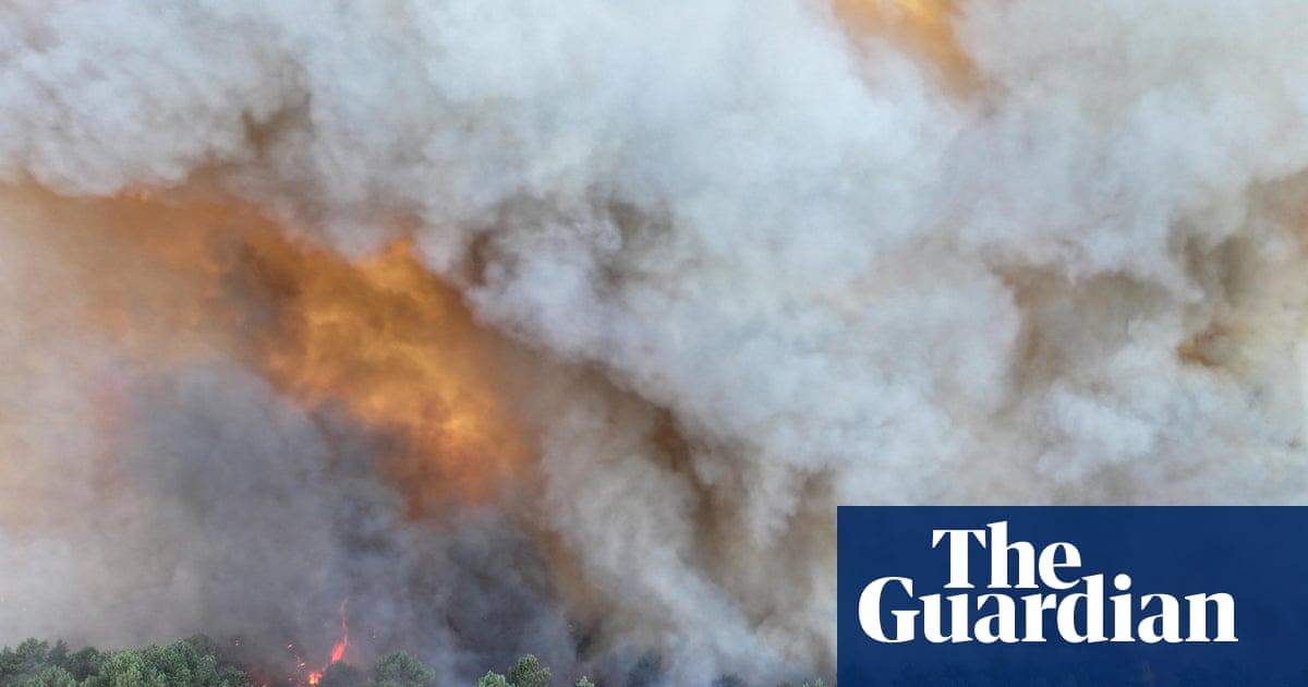 Firefighting planes scrambled from south of France to tackle huge wildfire near Paris | France