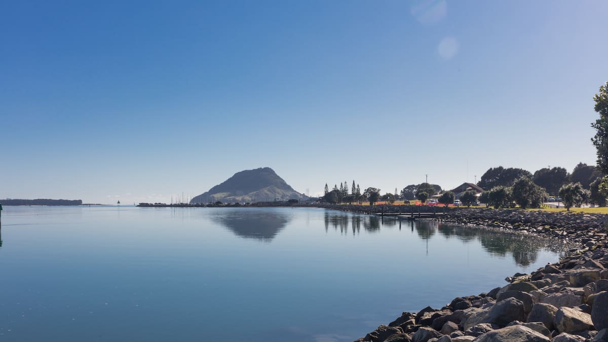 Opinion: How Tauranga aims to lead New Zealand’s blue economy transformation