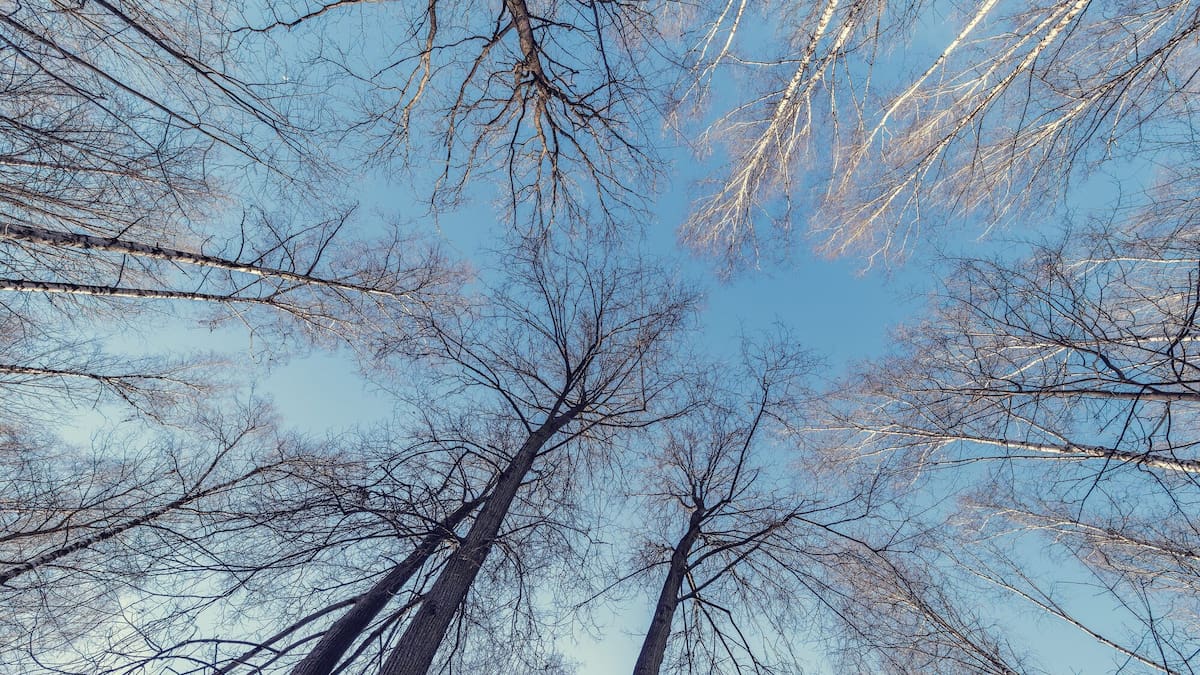Winter road trip sparks reflection on simple winter joys - Gwendolyn Needham
