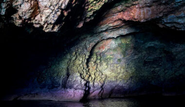 For the first time, ancient human DNA turns up on a Portugal cave wall