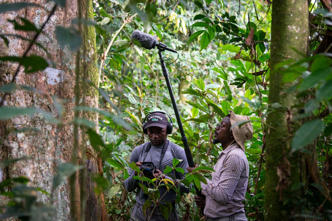 Two men wearing long sleeves and hats stand in the middle of a dense jungle.