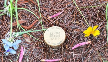 'Greener' death options: More people are seeking alternative body disposal practices