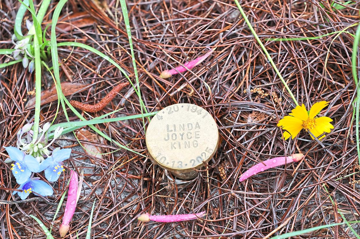 'Greener' death options: More people are seeking alternative body disposal practices