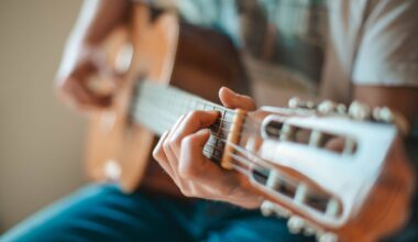 Japanese man arrested for years of guitar noise