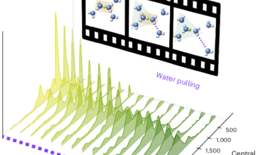 Deciphering the infrared spectrum of the hydrated proton using full-dimensional quantum dynamics