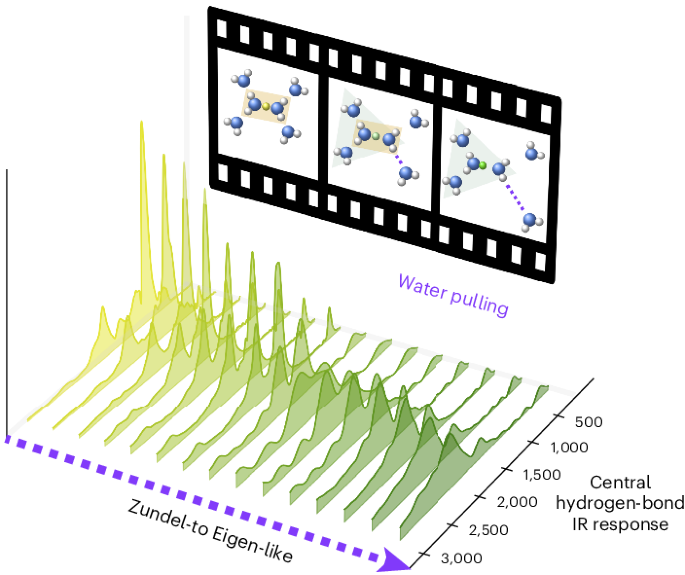 Deciphering the infrared spectrum of the hydrated proton using full-dimensional quantum dynamics