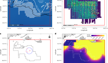 Balancing marine species conservation with cost-effective renewable energy development