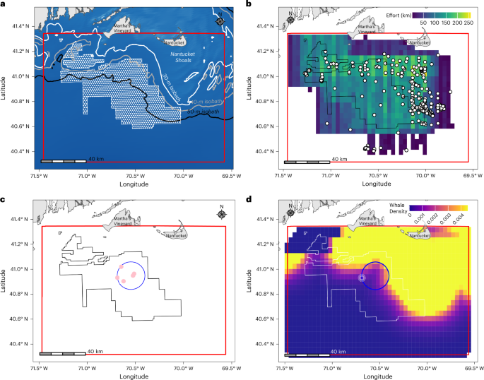 Balancing marine species conservation with cost-effective renewable energy development