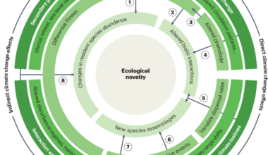 Ecological novelty induced by climate change