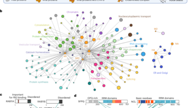Mapping in-cell protein contact sites reveals hijacking of paraspeckles during influenza A virus infection
