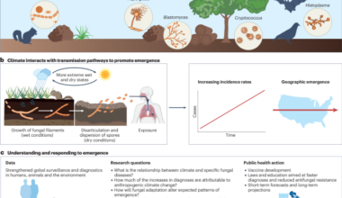 Emergence of human pathogenic fungi in a changing climate