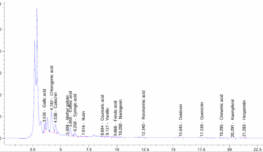 Green synthesis of gold nanoparticles utilizing Raphanus sativus root extract: characterization and in vitro investigation of its antioxidant, antimicrobial and anticancer impact