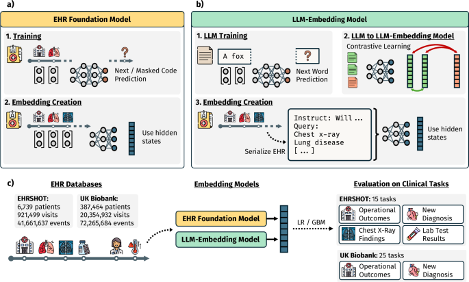 Large language models are powerful electronic health record encoders