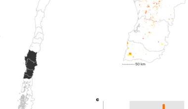Environmental impacts of Indigenous land restitution in Chile