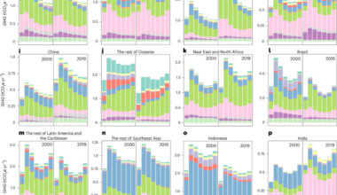 Youth lead current dietary emissions while seniors increasingly drive total emission growth