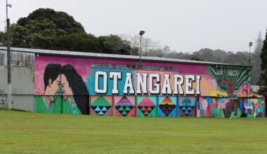 Man arrested after Whangārei search finds cannabis, LSD and ammunition