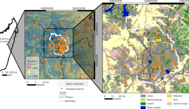 Sacred sites as refuges for native plant diversity in an urbanized tropical landscape