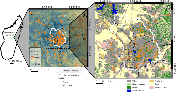 Sacred sites as refuges for native plant diversity in an urbanized tropical landscape