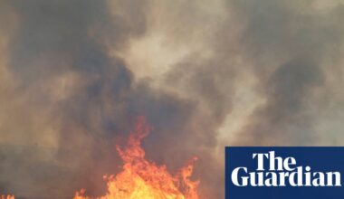 ‘The worst possible combination’: what has caused Spain’s deadly wildfires? | Spain
