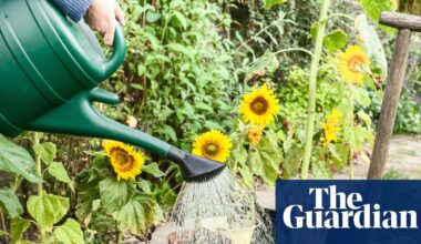How can I water my garden in a hosepipe ban and will there be drought this summer? | Water