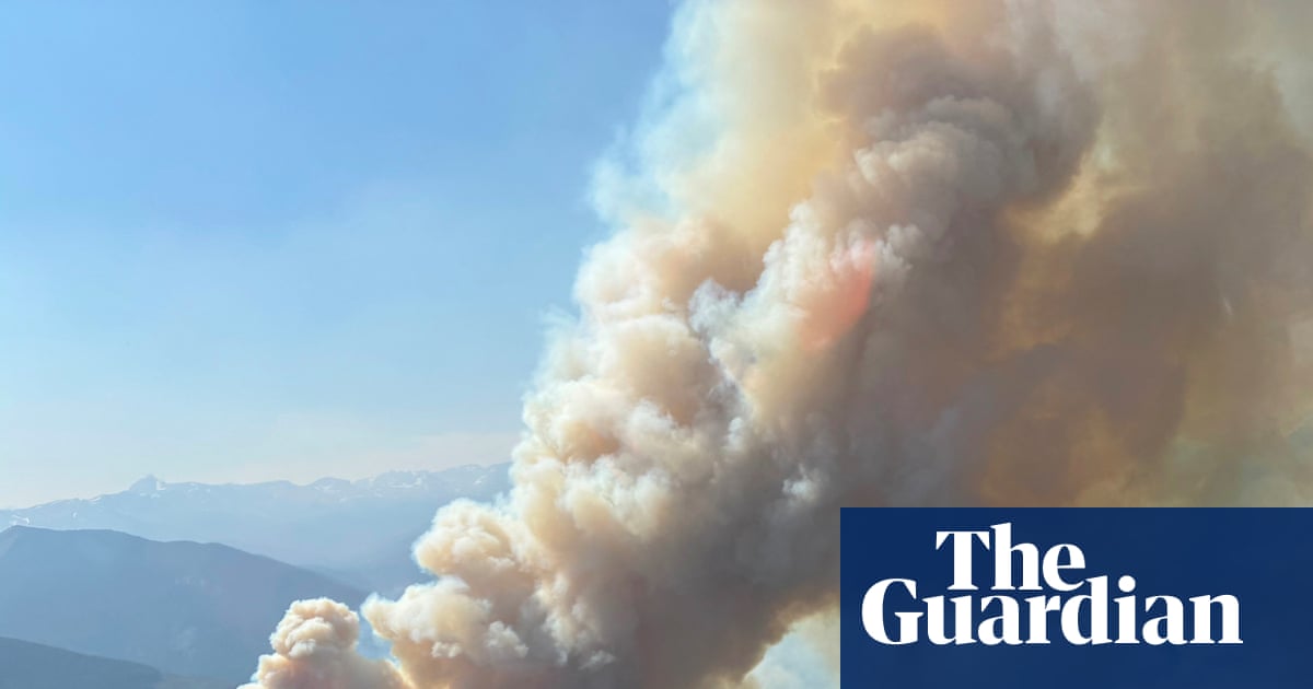 Canada’s worst wildfire seasons fuel push for national emergency agency | Canada